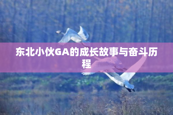 东北小伙GA的成长故事与奋斗历程