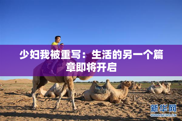 少妇我被重写：生活的另一个篇章即将开启