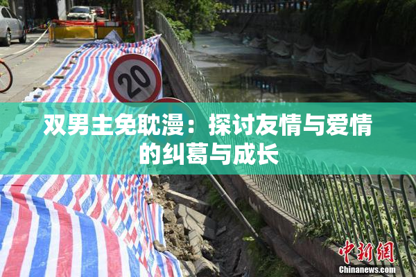 双男主免耽漫：探讨友情与爱情的纠葛与成长