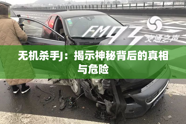 无机杀手J：揭示神秘背后的真相与危险