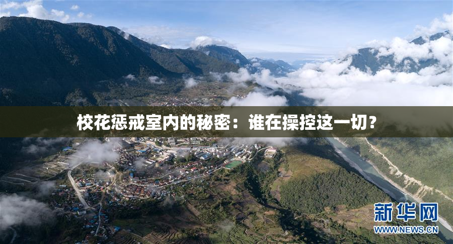 校花惩戒室内的秘密：谁在操控这一切？