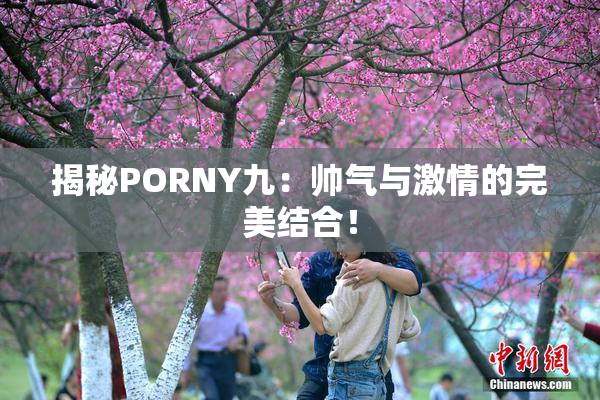 揭秘PORNY九：帅气与激情的完美结合！