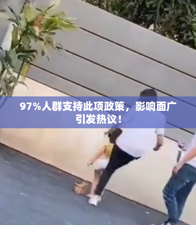 97%人群支持此项政策，影响面广引发热议！