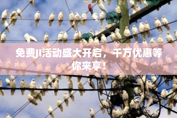 免费JI活动盛大开启，千万优惠等你来享！