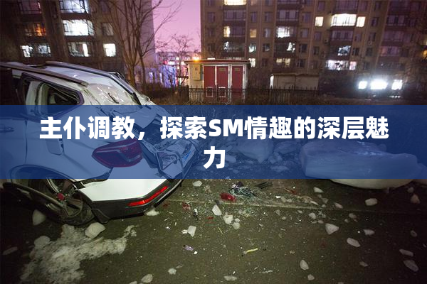 主仆调教，探索SM情趣的深层魅力