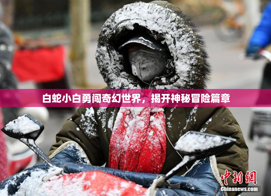 白蛇小白勇闯奇幻世界，揭开神秘冒险篇章