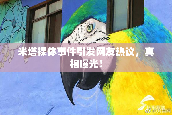 米塔裸体事件引发网友热议，真相曝光！