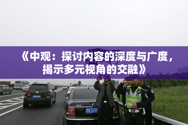 《中观：探讨内容的深度与广度，揭示多元视角的交融》