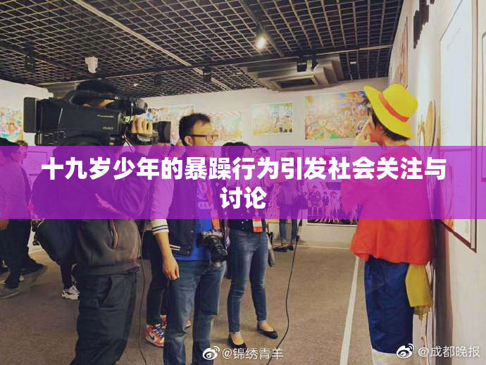十九岁少年的暴躁行为引发社会关注与讨论