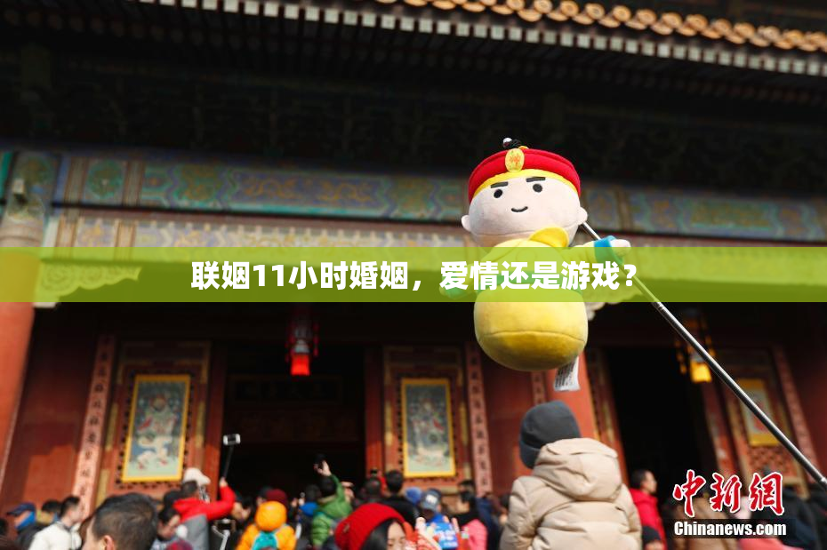 联姻11小时婚姻，爱情还是游戏？