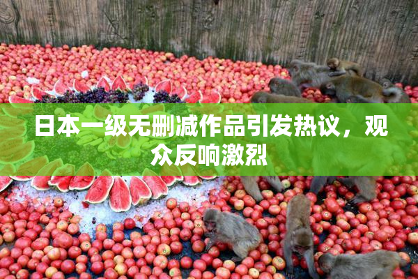 日本一级无删减作品引发热议，观众反响激烈