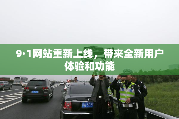 9·1网站重新上线，带来全新用户体验和功能