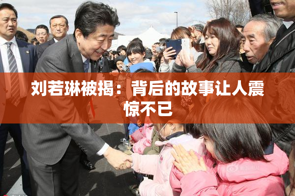 刘若琳被揭：背后的故事让人震惊不已