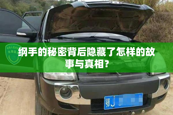 纲手的秘密背后隐藏了怎样的故事与真相？