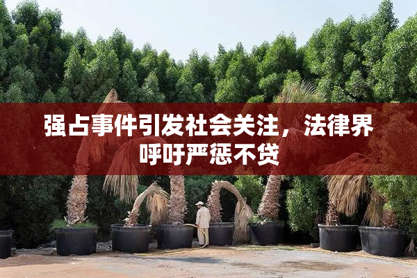 强占事件引发社会关注，法律界呼吁严惩不贷