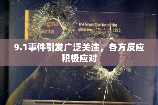 9.1事件引发广泛关注，各方反应积极应对