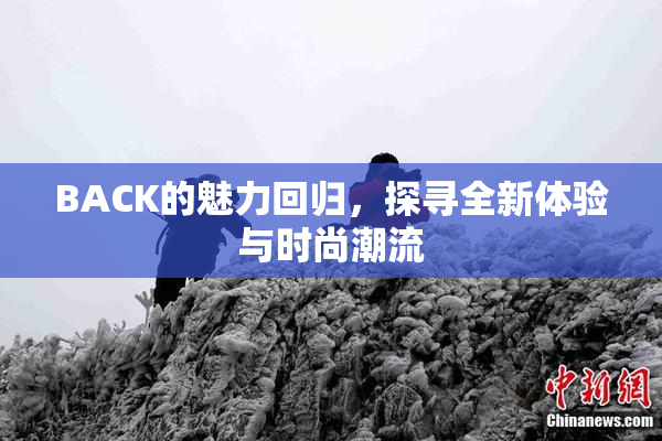 BACK的魅力回归，探寻全新体验与时尚潮流