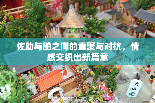 佐助与鼬之间的重聚与对抗，情感交织出新篇章