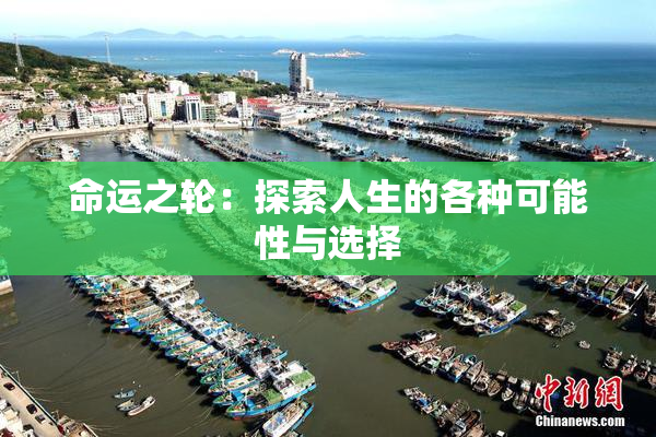 命运之轮：探索人生的各种可能性与选择