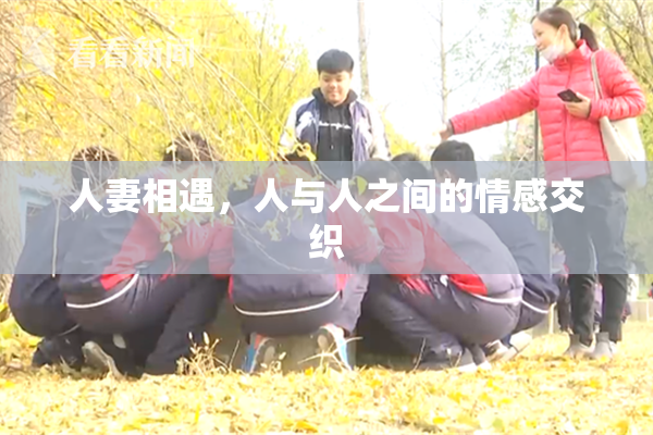 人妻相遇，人与人之间的情感交织