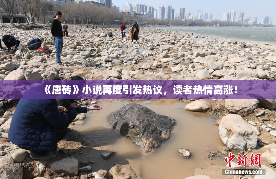 《唐砖》小说再度引发热议，读者热情高涨！