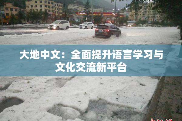 大地中文：全面提升语言学习与文化交流新平台