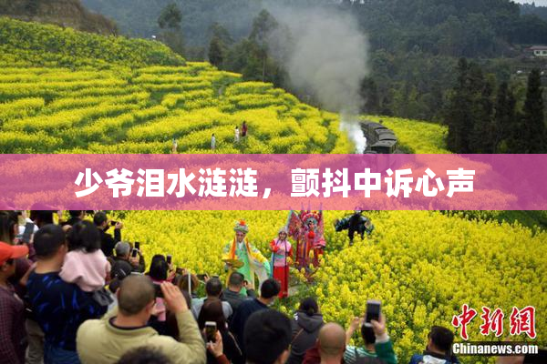 少爷泪水涟涟，颤抖中诉心声
