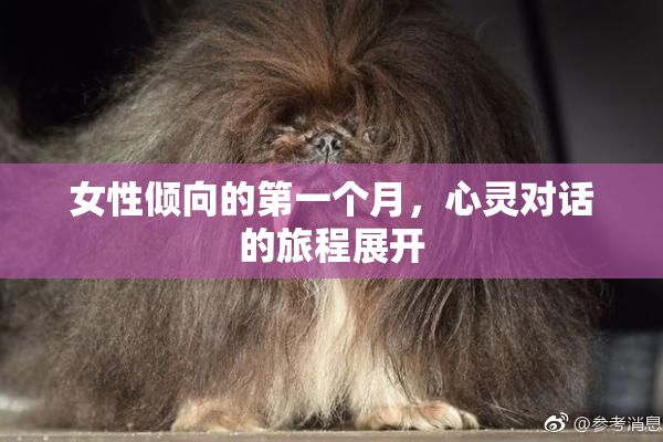 女性倾向的第一个月，心灵对话的旅程展开