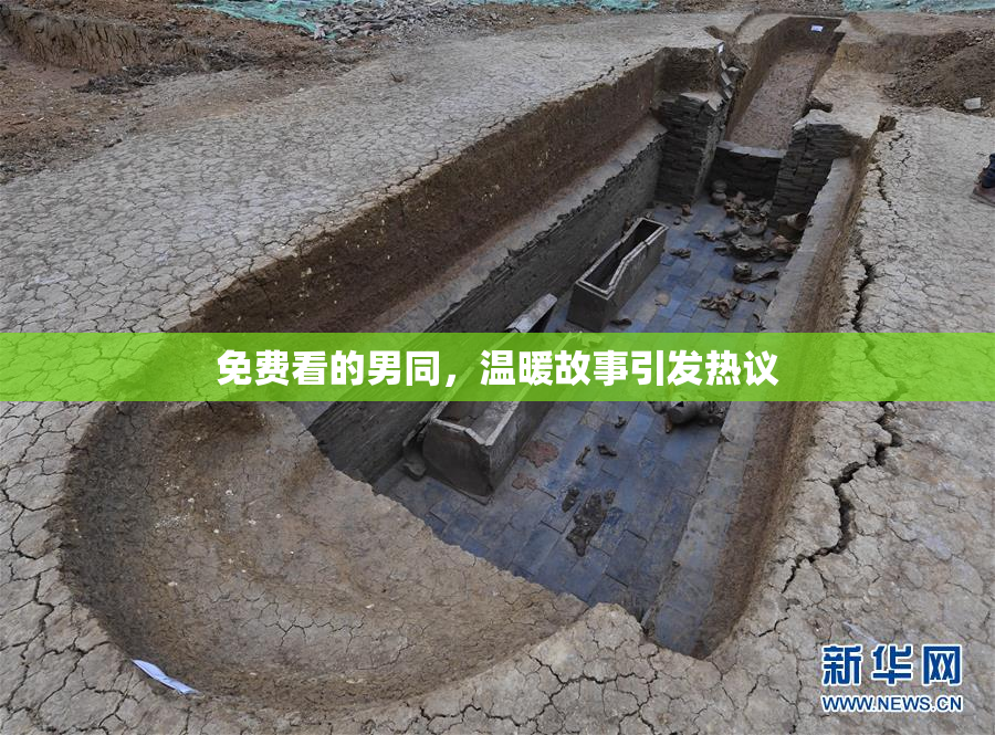 免费看的男同，温暖故事引发热议