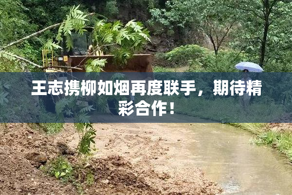 王志携柳如烟再度联手，期待精彩合作！