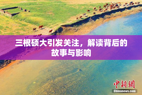 三根硕大引发关注，解读背后的故事与影响