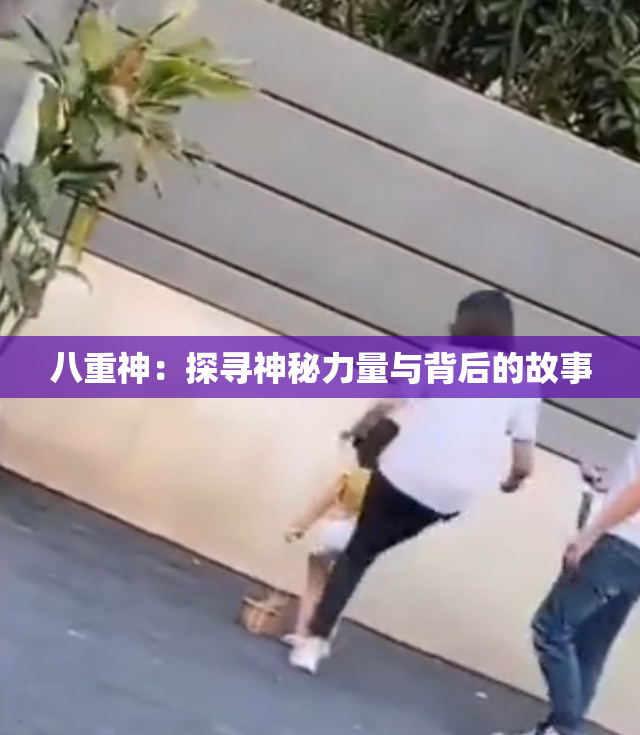 八重神：探寻神秘力量与背后的故事