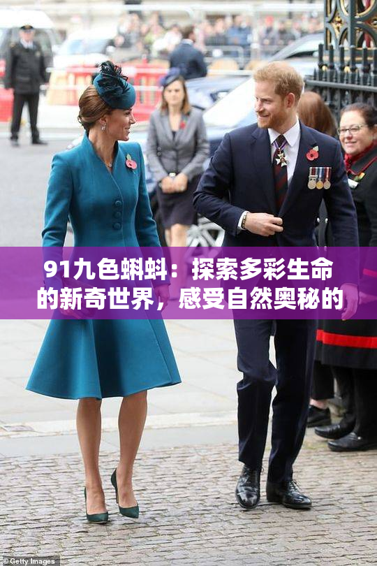 91九色蝌蚪：探索多彩生命的新奇世界，感受自然奥秘的魅力