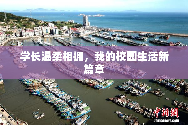学长温柔相拥，我的校园生活新篇章