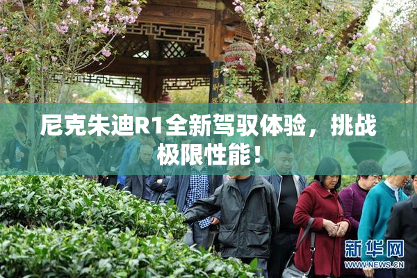 尼克朱迪R1全新驾驭体验，挑战极限性能！
