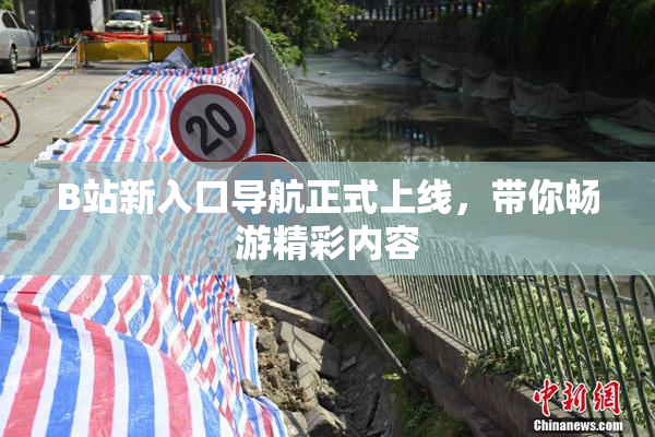 B站新入口导航正式上线，带你畅游精彩内容