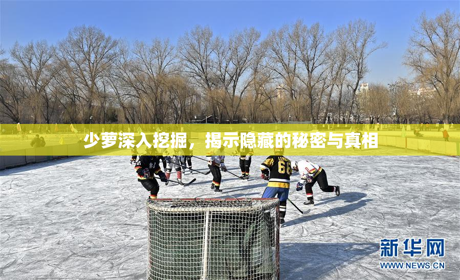 少萝深入挖掘，揭示隐藏的秘密与真相