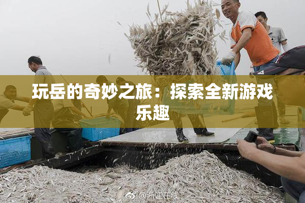 玩岳的奇妙之旅：探索全新游戏乐趣