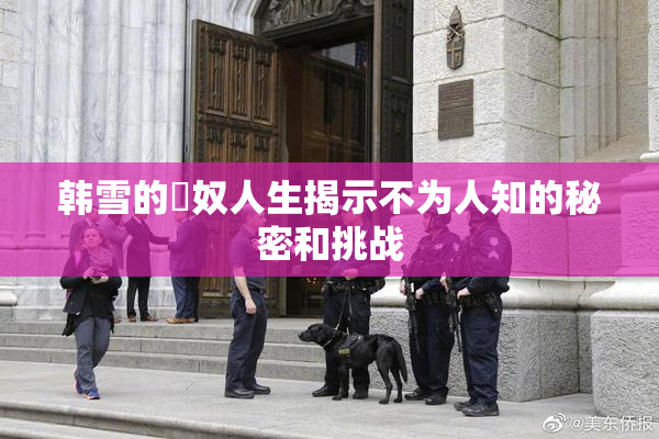 韩雪的婬奴人生揭示不为人知的秘密和挑战