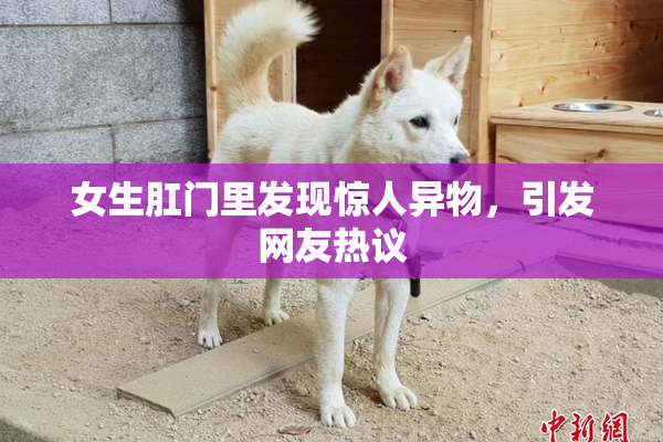 女生肛门里发现惊人异物，引发网友热议