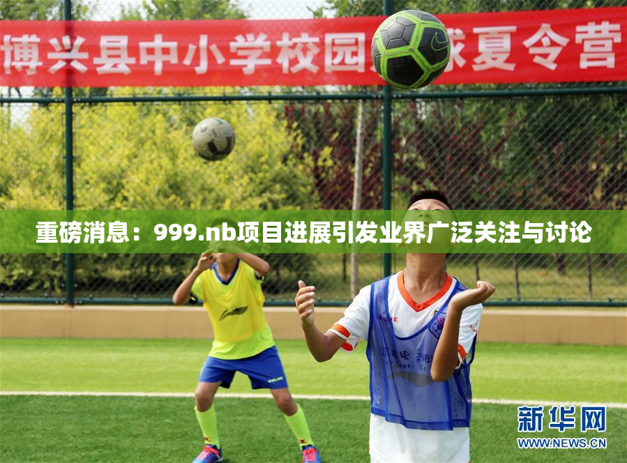 重磅消息：999.nb项目进展引发业界广泛关注与讨论