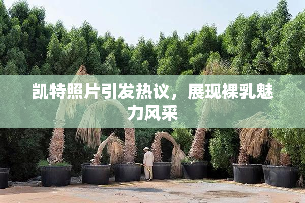 凯特照片引发热议，展现裸乳魅力风采