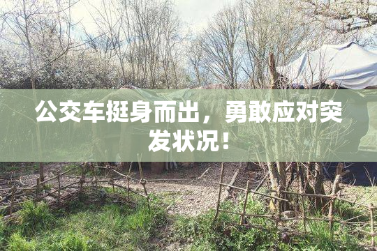 公交车挺身而出，勇敢应对突发状况！