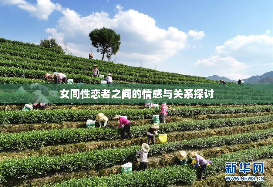 女同性恋者之间的情感与关系探讨