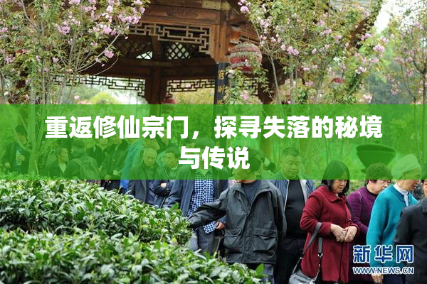 重返修仙宗门，探寻失落的秘境与传说