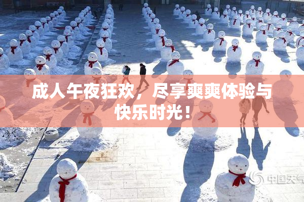 成人午夜狂欢，尽享爽爽体验与快乐时光！