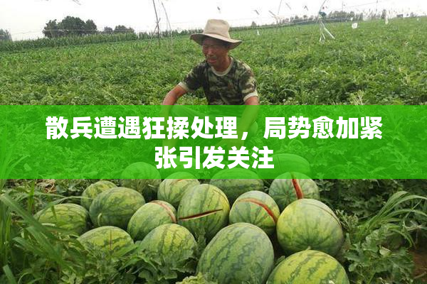 散兵遭遇狂揉处理，局势愈加紧张引发关注