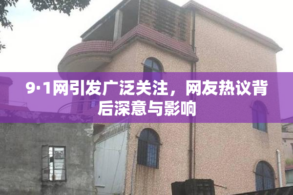 9·1网引发广泛关注，网友热议背后深意与影响