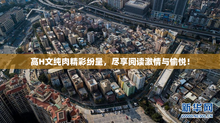 高H文纯肉精彩纷呈，尽享阅读激情与愉悦！