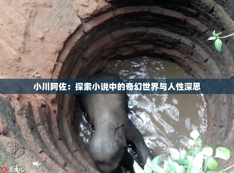 小川阿佐：探索小说中的奇幻世界与人性深思